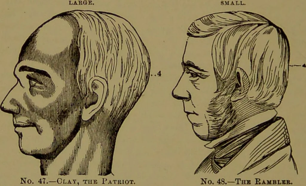 An illustration from Fowler's New illustrated self-instructor in phrenology and physiology : with over one hundred engravings, together with the chart and character of ... as marked by ... / by Lorenzo N. Fowler., 1895, leaf 94