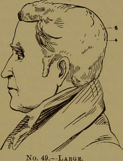 An illustration from Fowler's New illustrated self-instructor in phrenology and physiology : with over one hundred engravings, together with the chart and character of ... as marked by ... / by Lorenzo N. Fowler., 1895, leaf 96