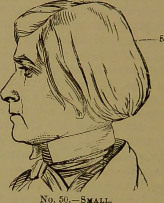 An illustration from Fowler's New illustrated self-instructor in phrenology and physiology : with over one hundred engravings, together with the chart and character of ... as marked by ... / by Lorenzo N. Fowler., 1895, leaf 96