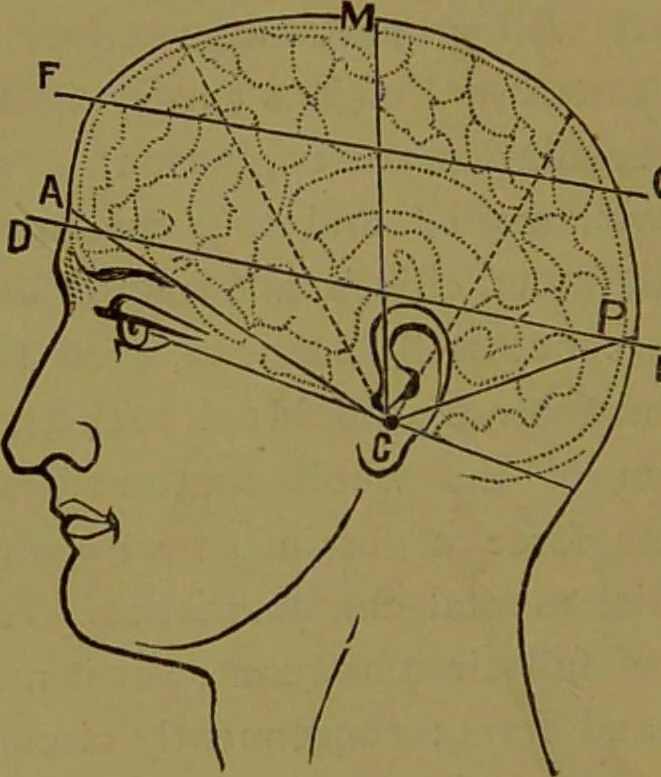 An illustration from A new illustrated hand-book of phrenology, physiology and physiognomy / by R.B.D. Wells., 1870, leaf 144