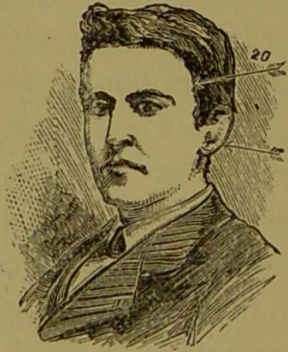 An illustration from A new illustrated hand-book of phrenology, physiology and physiognomy / by R.B.D. Wells., 1870, leaf 152