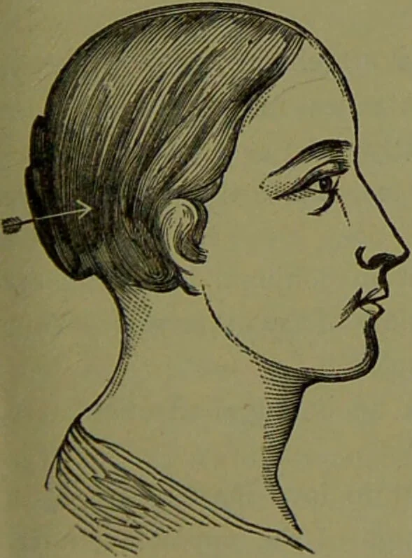 An illustration from A new illustrated hand-book of phrenology, physiology and physiognomy / by R.B.D. Wells., 1870, leaf 157