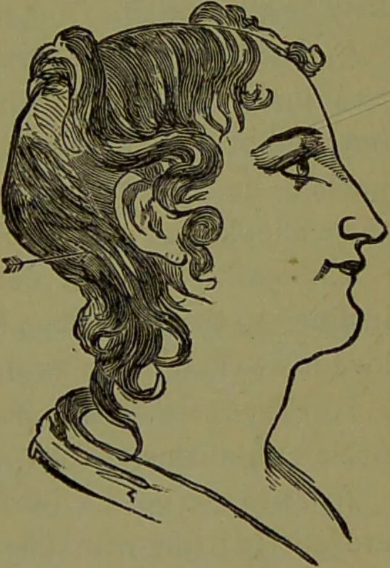 An illustration from A new illustrated hand-book of phrenology, physiology and physiognomy / by R.B.D. Wells., 1870, leaf 157
