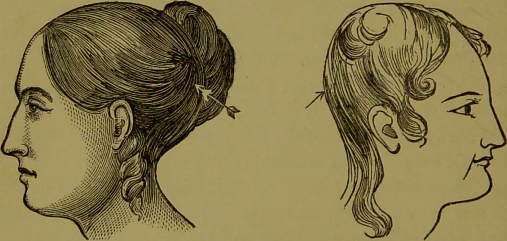 An illustration from A new illustrated hand-book of phrenology, physiology and physiognomy / by R.B.D. Wells., 1870, leaf 160