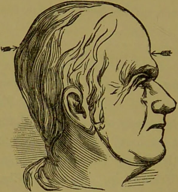 An illustration from A new illustrated hand-book of phrenology, physiology and physiognomy / by R.B.D. Wells., 1870, leaf 168