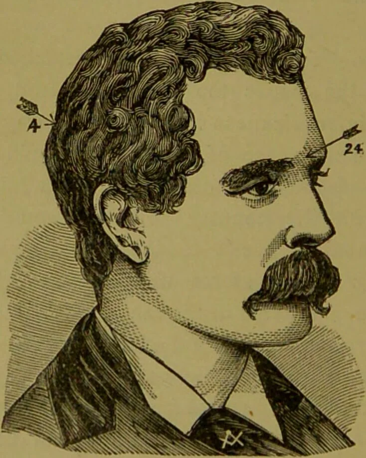 An illustration from A new illustrated hand-book of phrenology, physiology and physiognomy / by R.B.D. Wells., 1870, leaf 168