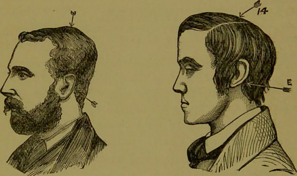 An illustration from A new illustrated hand-book of phrenology, physiology and physiognomy / by R.B.D. Wells., 1870, leaf 176