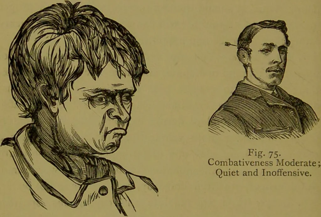 An illustration from A new illustrated hand-book of phrenology, physiology and physiognomy / by R.B.D. Wells., 1870, leaf 180