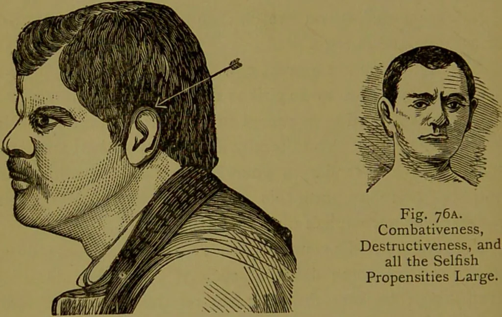An illustration from A new illustrated hand-book of phrenology, physiology and physiognomy / by R.B.D. Wells., 1870, leaf 182