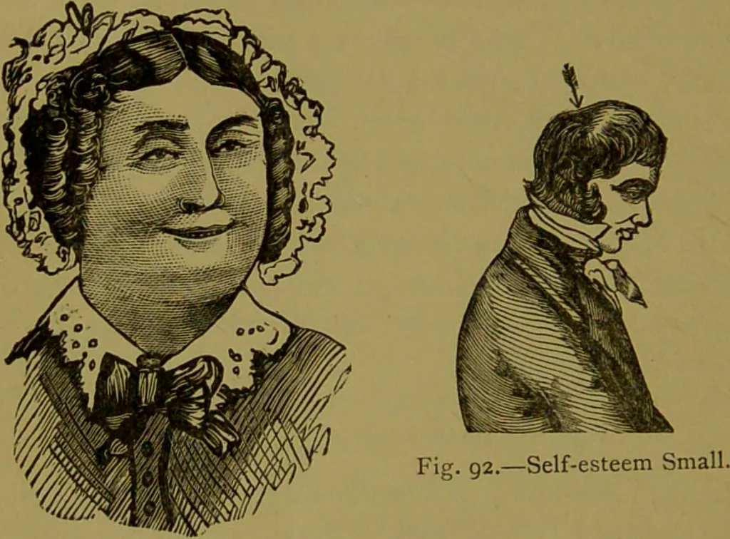 An illustration from A new illustrated hand-book of phrenology, physiology and physiognomy / by R.B.D. Wells., 1870, leaf 208