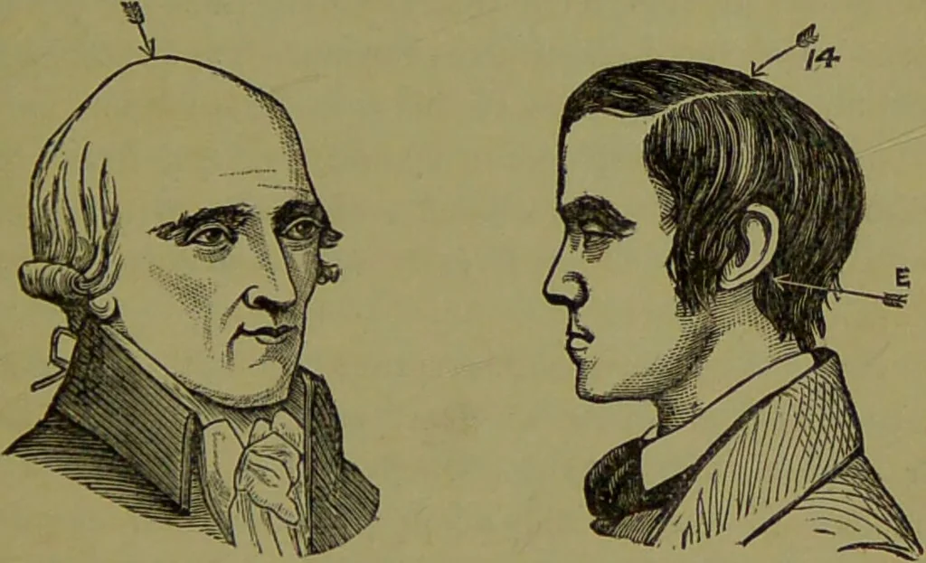An illustration from A new illustrated hand-book of phrenology, physiology and physiognomy / by R.B.D. Wells., 1870, leaf 211