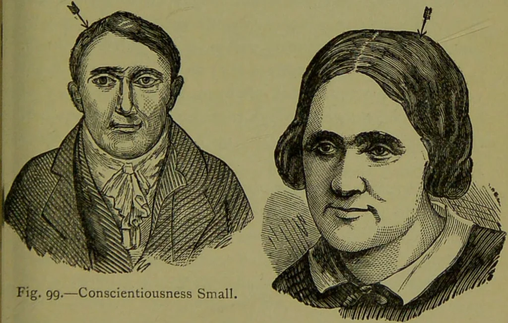 An illustration from A new illustrated hand-book of phrenology, physiology and physiognomy / by R.B.D. Wells., 1870, leaf 217