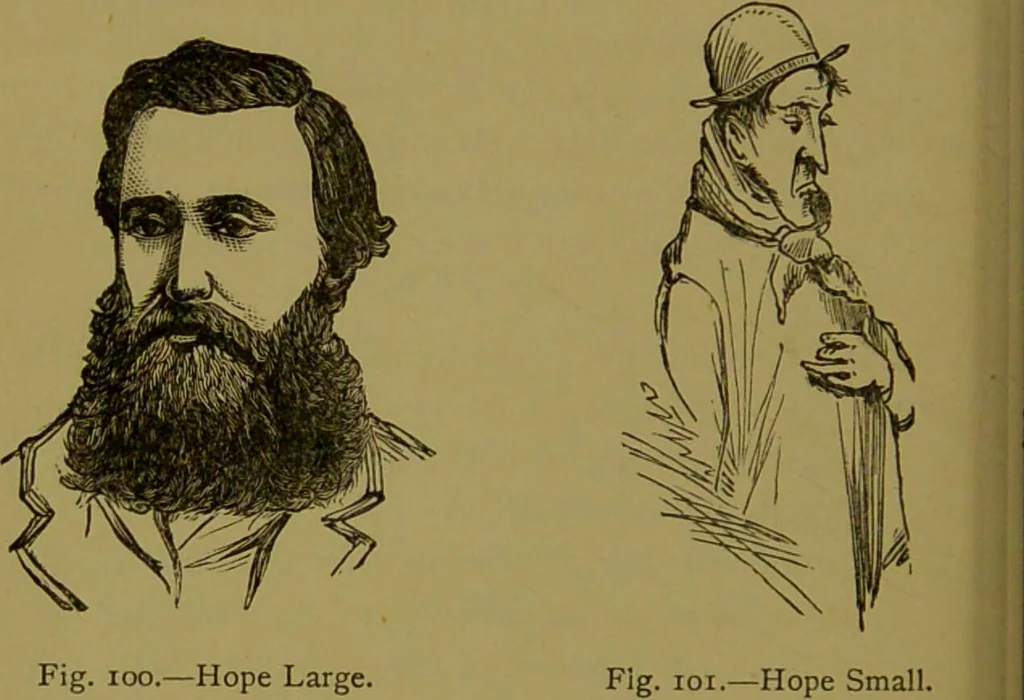 An illustration from A new illustrated hand-book of phrenology, physiology and physiognomy / by R.B.D. Wells., 1870, leaf 220