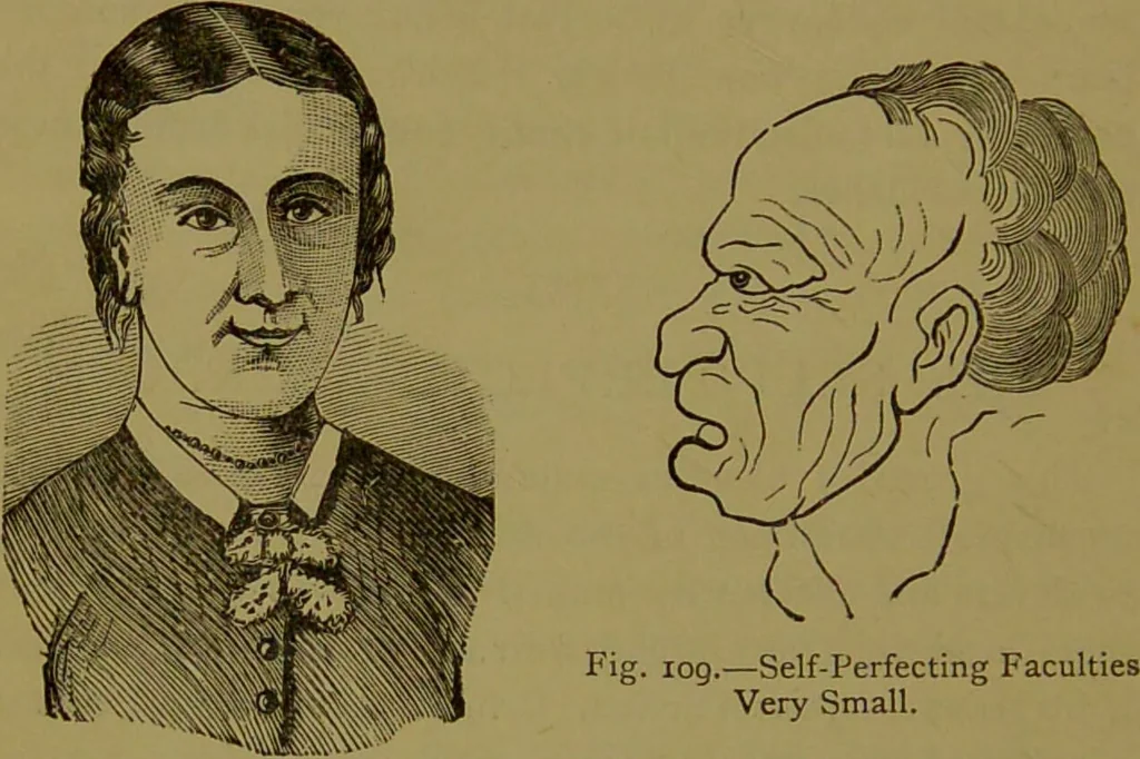 An illustration from A new illustrated hand-book of phrenology, physiology and physiognomy / by R.B.D. Wells., 1870, leaf 232