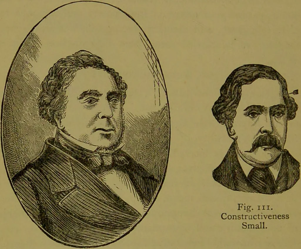 An illustration from A new illustrated hand-book of phrenology, physiology and physiognomy / by R.B.D. Wells., 1870, leaf 234