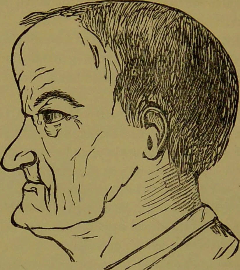 An illustration from A new illustrated hand-book of phrenology, physiology and physiognomy / by R.B.D. Wells., 1870, leaf 246