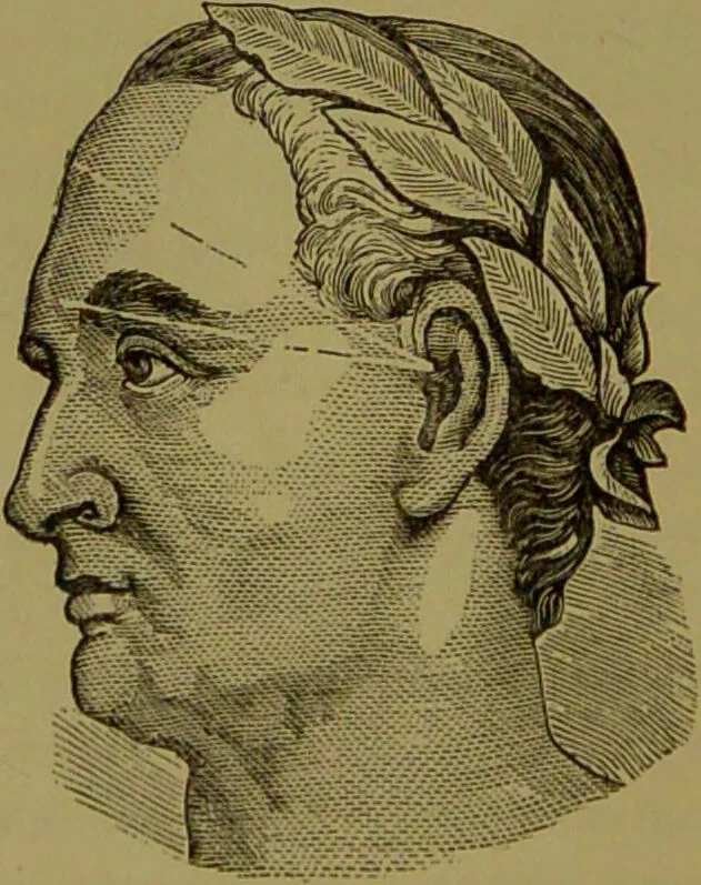 An illustration from A new illustrated hand-book of phrenology, physiology and physiognomy / by R.B.D. Wells., 1870, leaf 246