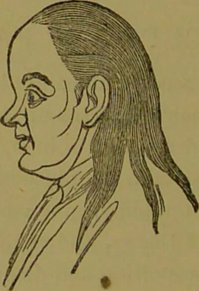 An illustration from A new illustrated hand-book of phrenology, physiology and physiognomy / by R.B.D. Wells., 1870, leaf 252