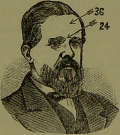 An illustration from A new illustrated hand-book of phrenology, physiology and physiognomy / by R.B.D. Wells., 1870, leaf 255