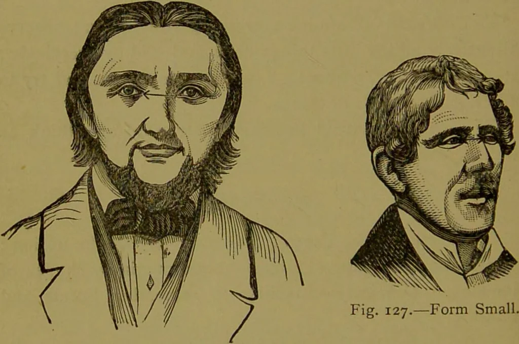 An illustration from A new illustrated hand-book of phrenology, physiology and physiognomy / by R.B.D. Wells., 1870, leaf 258
