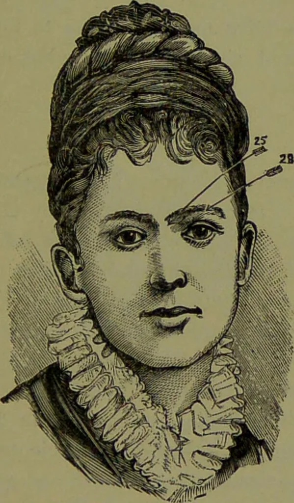 An illustration from A new illustrated hand-book of phrenology, physiology and physiognomy / by R.B.D. Wells., 1870, leaf 265