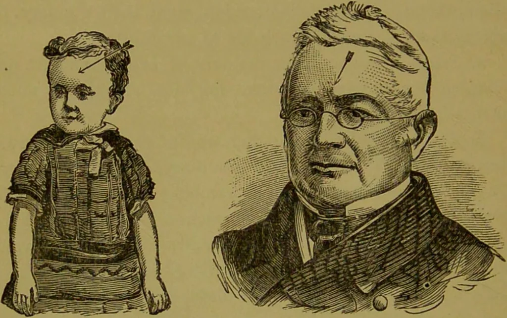 An illustration from A new illustrated hand-book of phrenology, physiology and physiognomy / by R.B.D. Wells., 1870, leaf 276