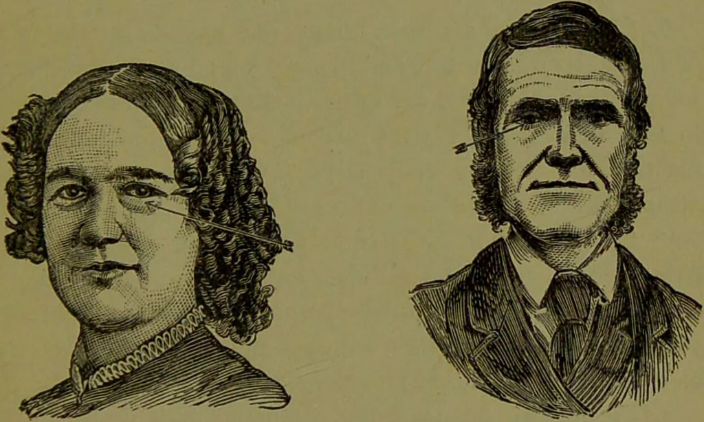 An illustration from A new illustrated hand-book of phrenology, physiology and physiognomy / by R.B.D. Wells., 1870, leaf 283