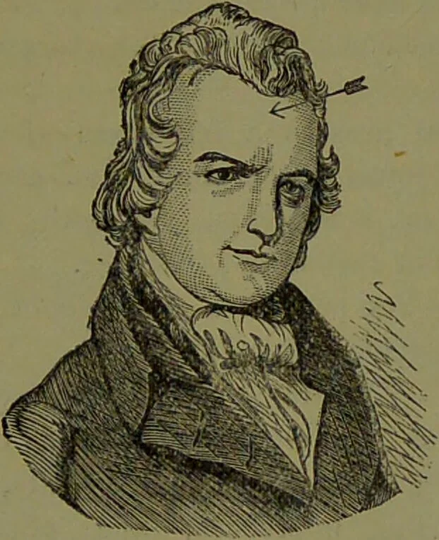 An illustration from A new illustrated hand-book of phrenology, physiology and physiognomy / by R.B.D. Wells., 1870, leaf 291