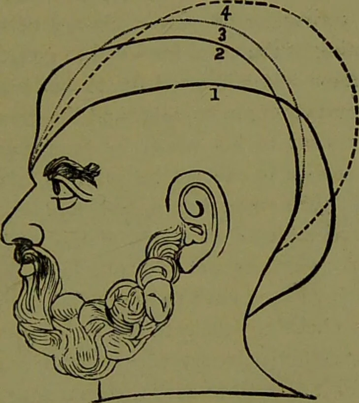 An illustration from A new illustrated hand-book of phrenology, physiology and physiognomy / by R.B.D. Wells., 1870, leaf 305