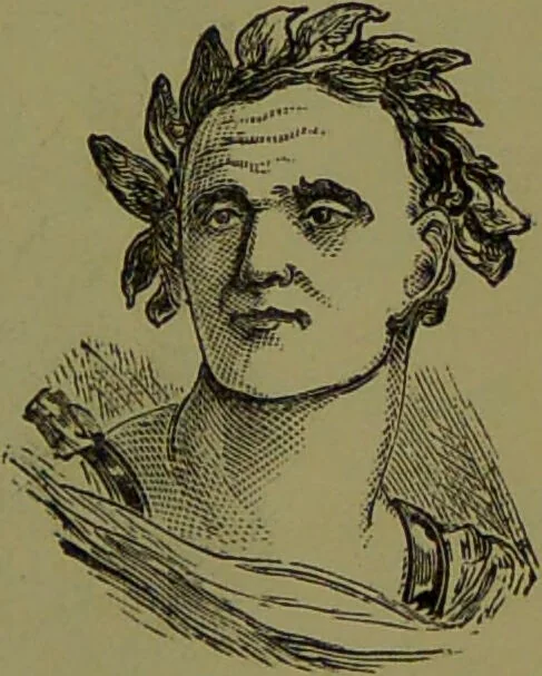 An illustration from A new illustrated hand-book of phrenology, physiology and physiognomy / by R.B.D. Wells., 1870, leaf 307