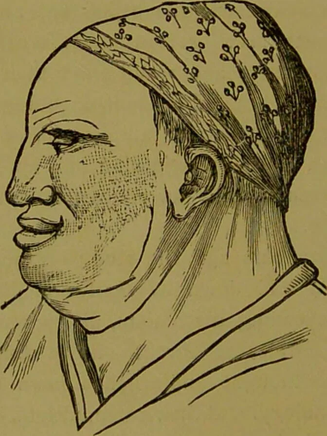 An illustration from A new illustrated hand-book of phrenology, physiology and physiognomy / by R.B.D. Wells., 1870, leaf 40