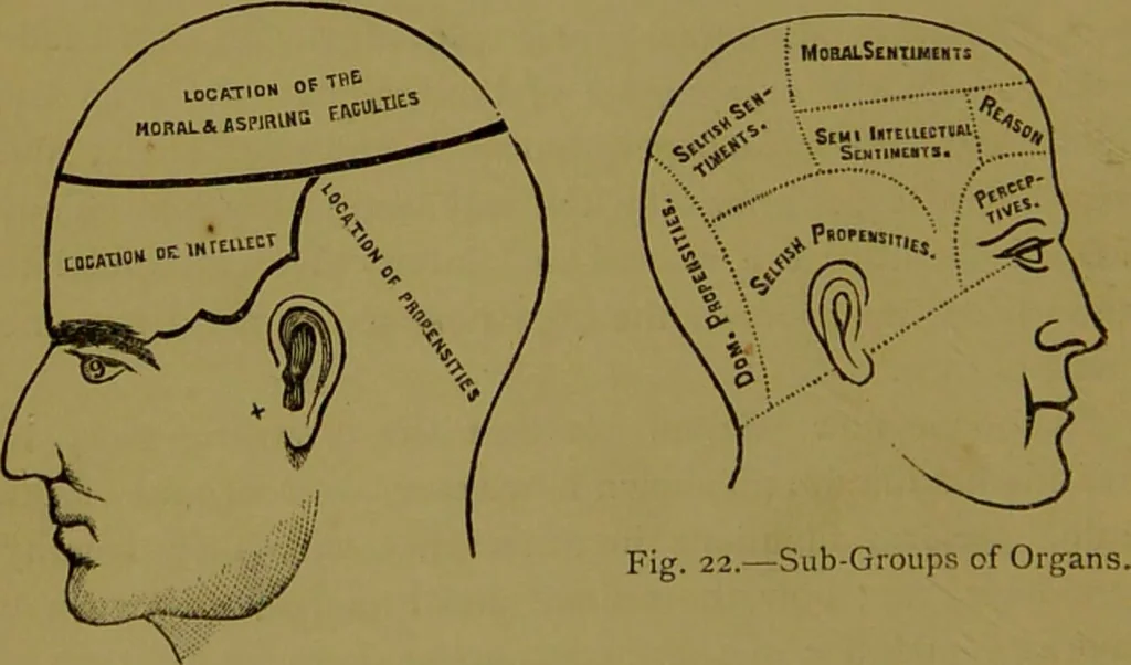 An illustration from A new illustrated hand-book of phrenology, physiology and physiognomy / by R.B.D. Wells., 1870, leaf 56