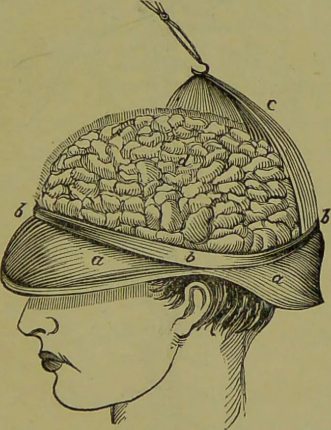 An illustration from A new illustrated hand-book of phrenology, physiology and physiognomy / by R.B.D. Wells., 1870, leaf 63