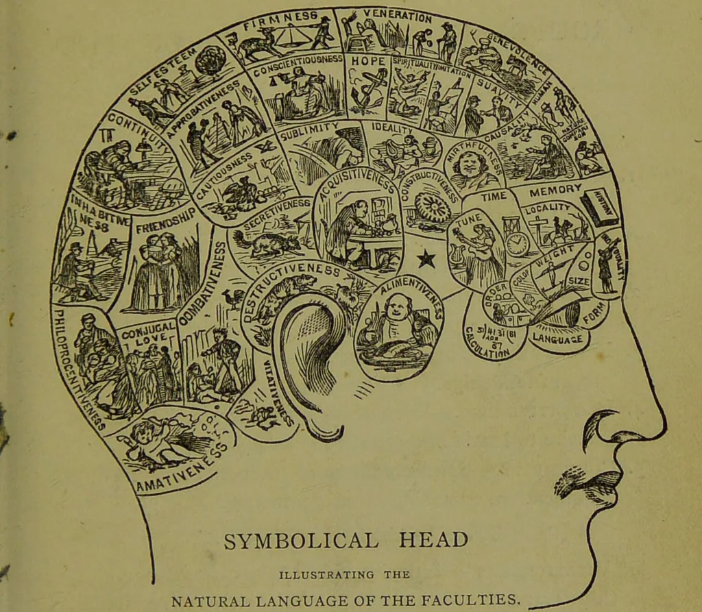 An illustration from A new illustrated hand-book of phrenology, physiology and physiognomy / by R.B.D. Wells., 1870, leaf 67