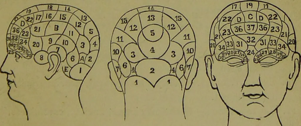 An illustration from A new illustrated hand-book of phrenology, physiology and physiognomy / by R.B.D. Wells., 1870, leaf 67
