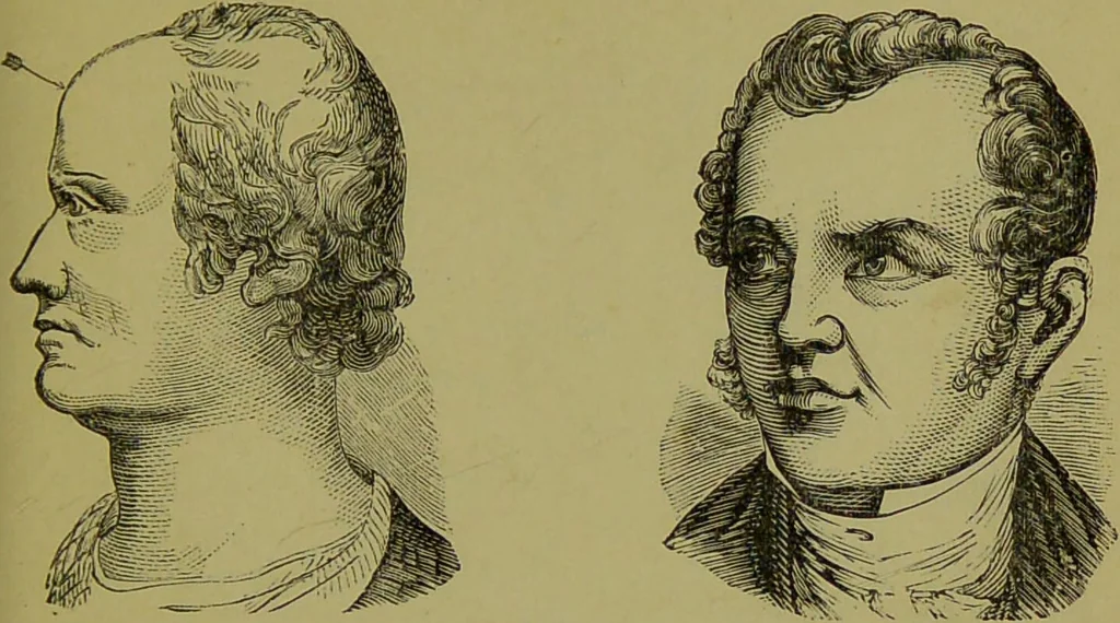 An illustration from A new illustrated hand-book of phrenology, physiology and physiognomy / by R.B.D. Wells., 1870, leaf 9