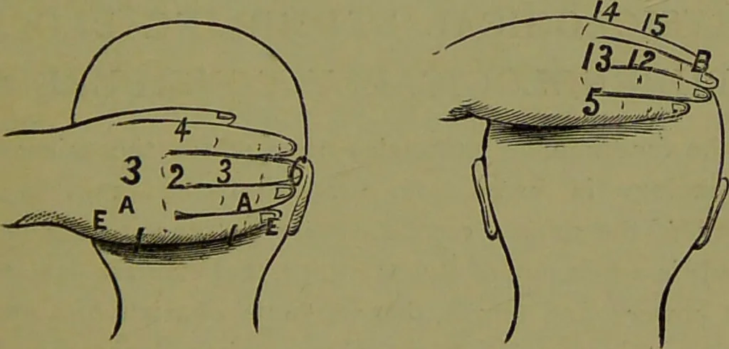 An illustration from A new illustrated hand-book of phrenology, physiology and physiognomy / by R.B.D. Wells., 1870, leaf 93
