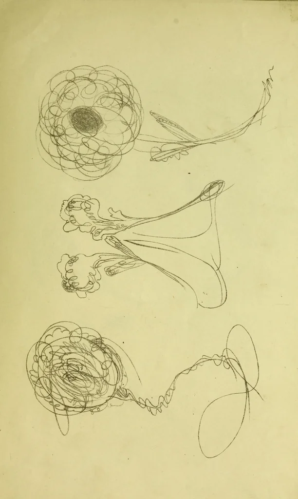 An illustration from Mary Jane : or, spiritualism chemically explained, with spirit drawings / also essays by, and ideas (perhaps erroneous) of "a child at school.", 1863, leaf 403