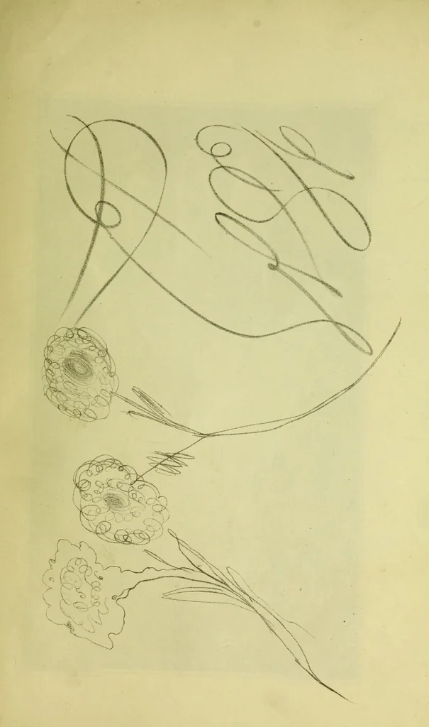 An illustration from Mary Jane : or, spiritualism chemically explained, with spirit drawings / also essays by, and ideas (perhaps erroneous) of "a child at school.", 1863, leaf 405
