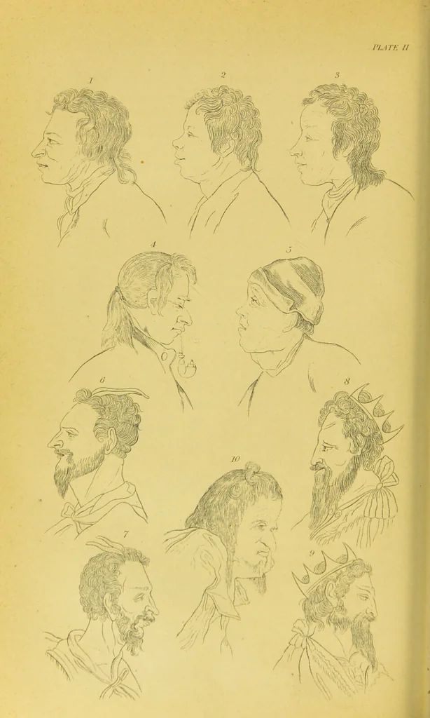 An illustration from Essays on physiognomy / translated from the German of John Caspar Lavater, by Thomas Holcroft. Also one hundred physiognomical rules, taken from a posthumous work of J. C. Lavater ; and a memoir of the author., 1880, leaf 172