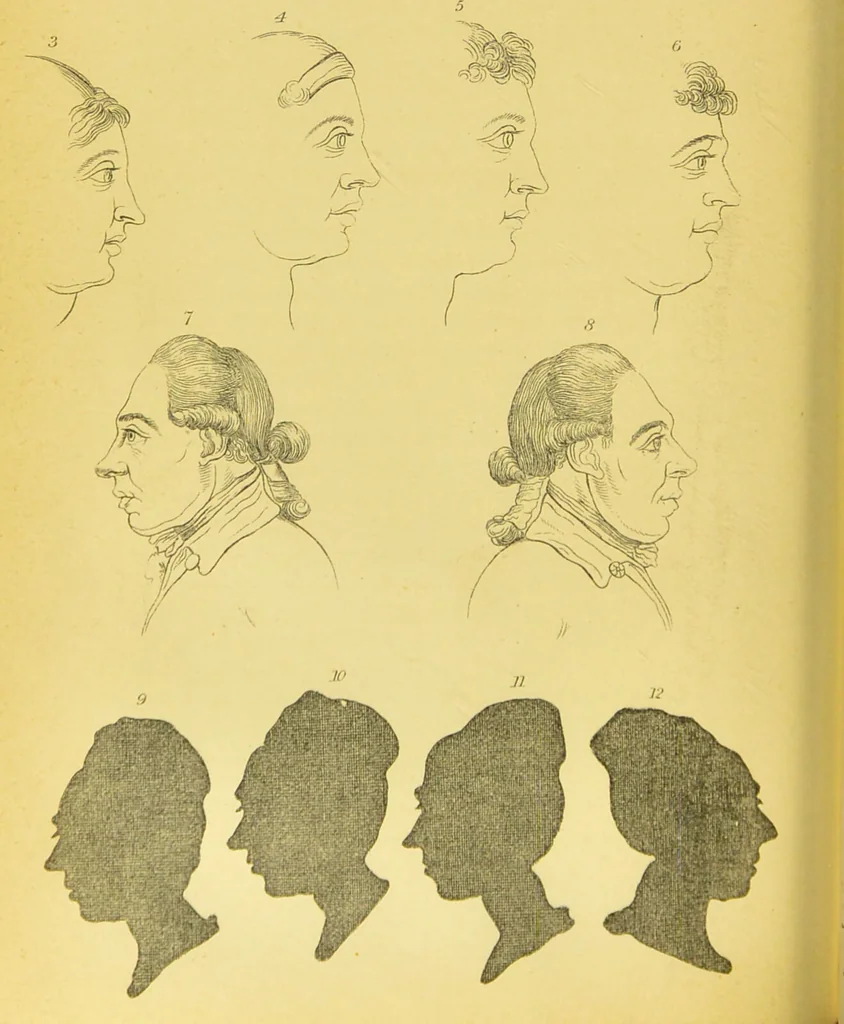 An illustration from Essays on physiognomy / translated from the German of John Caspar Lavater, by Thomas Holcroft. Also one hundred physiognomical rules, taken from a posthumous work of J. C. Lavater ; and a memoir of the author., 1880, leaf 198