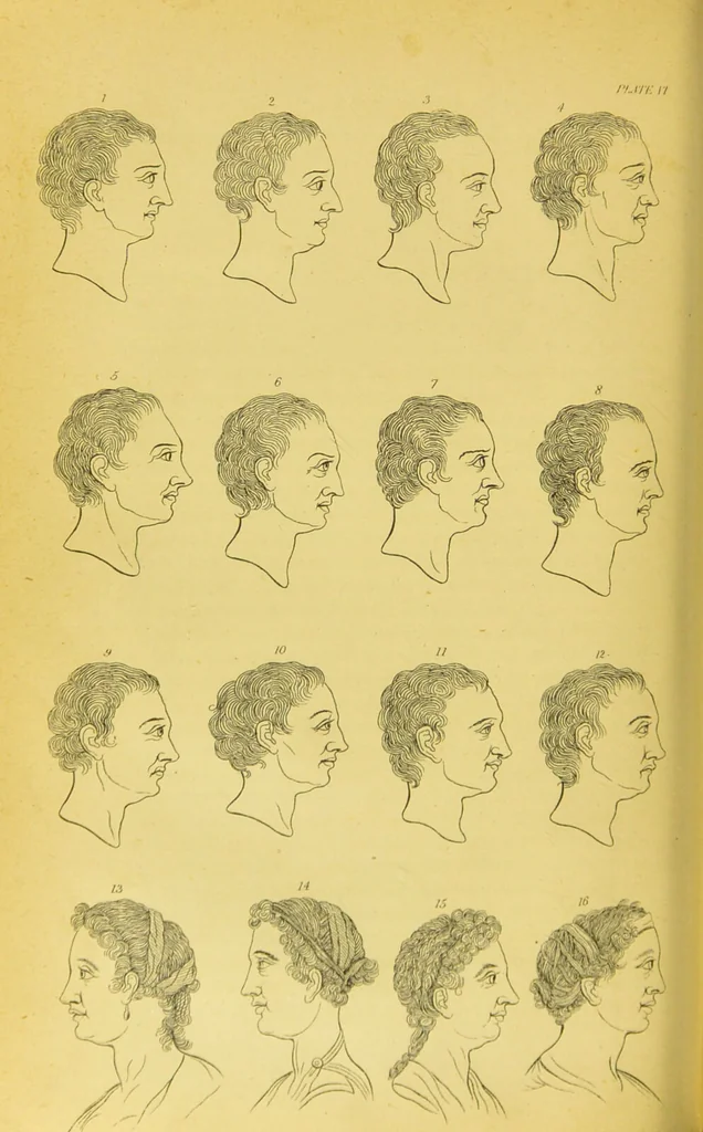 An illustration from Essays on physiognomy / translated from the German of John Caspar Lavater, by Thomas Holcroft. Also one hundred physiognomical rules, taken from a posthumous work of J. C. Lavater ; and a memoir of the author., 1880, leaf 202
