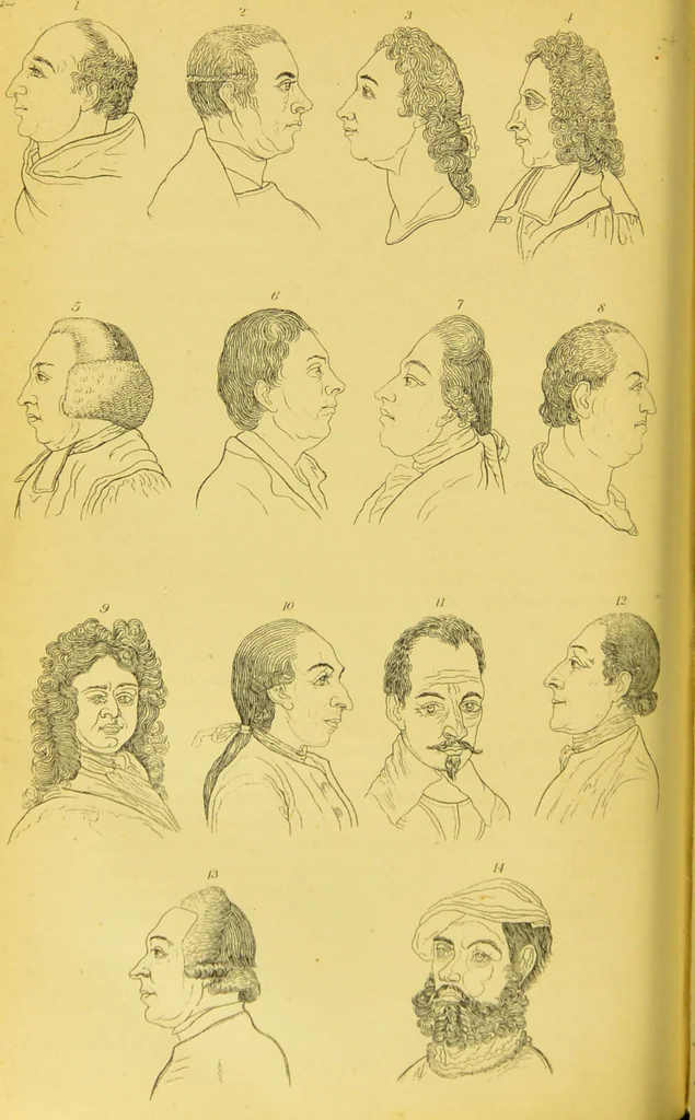 An illustration from Essays on physiognomy / translated from the German of John Caspar Lavater, by Thomas Holcroft. Also one hundred physiognomical rules, taken from a posthumous work of J. C. Lavater ; and a memoir of the author., 1880, leaf 238