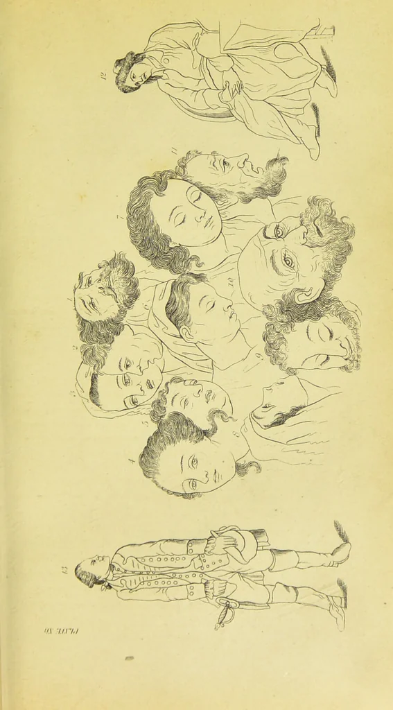 An illustration from Essays on physiognomy / translated from the German of John Caspar Lavater, by Thomas Holcroft. Also one hundred physiognomical rules, taken from a posthumous work of J. C. Lavater ; and a memoir of the author., 1880, leaf 263