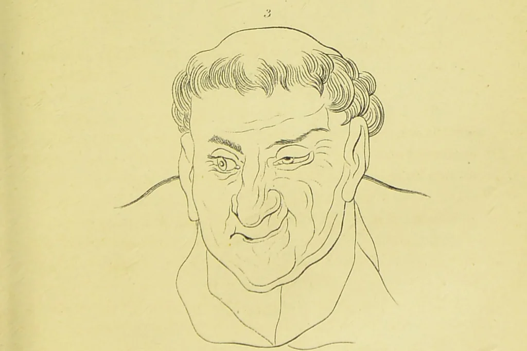 An illustration from Essays on physiognomy / translated from the German of John Caspar Lavater, by Thomas Holcroft. Also one hundred physiognomical rules, taken from a posthumous work of J. C. Lavater ; and a memoir of the author., 1880, leaf 267
