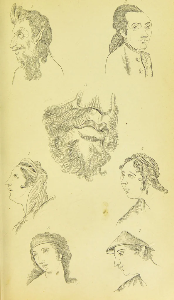 An illustration from Essays on physiognomy / translated from the German of John Caspar Lavater, by Thomas Holcroft. Also one hundred physiognomical rules, taken from a posthumous work of J. C. Lavater ; and a memoir of the author., 1880, leaf 269