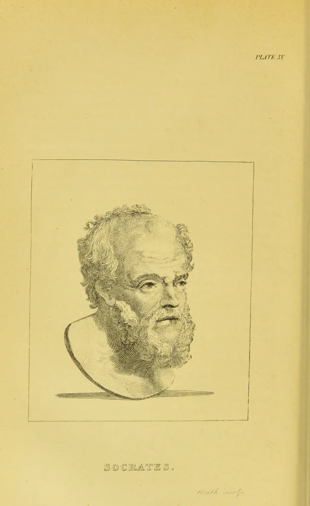 An illustration from Essays on physiognomy / translated from the German of John Caspar Lavater, by Thomas Holcroft. Also one hundred physiognomical rules, taken from a posthumous work of J. C. Lavater ; and a memoir of the author., 1880, leaf 276