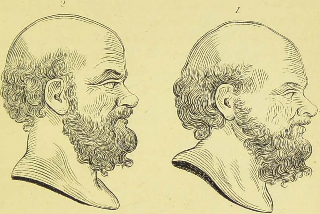 An illustration from Essays on physiognomy / translated from the German of John Caspar Lavater, by Thomas Holcroft. Also one hundred physiognomical rules, taken from a posthumous work of J. C. Lavater ; and a memoir of the author., 1880, leaf 283