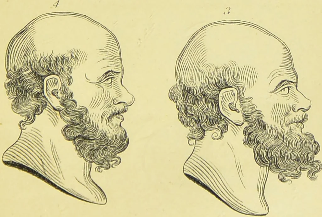 An illustration from Essays on physiognomy / translated from the German of John Caspar Lavater, by Thomas Holcroft. Also one hundred physiognomical rules, taken from a posthumous work of J. C. Lavater ; and a memoir of the author., 1880, leaf 283