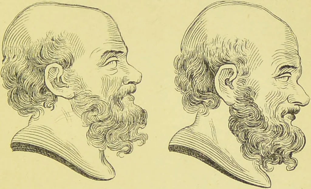 An illustration from Essays on physiognomy / translated from the German of John Caspar Lavater, by Thomas Holcroft. Also one hundred physiognomical rules, taken from a posthumous work of J. C. Lavater ; and a memoir of the author., 1880, leaf 285